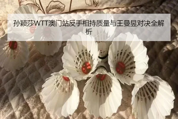 sun-ying-sha-ao-men-zhan-fan-shou-xiang-chi-zhi-liang-yu-wang-man-yu-dui-jue-quan-jie-xi-2-695.jpg