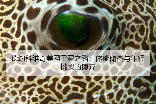 de-yue-ke-wei-qi-mei-wang-wei-mian-zhi-lu-ti-neng-chu-bei-yu-nian-qing-tiao-zhan-de-bo-yi-2-391.jpg