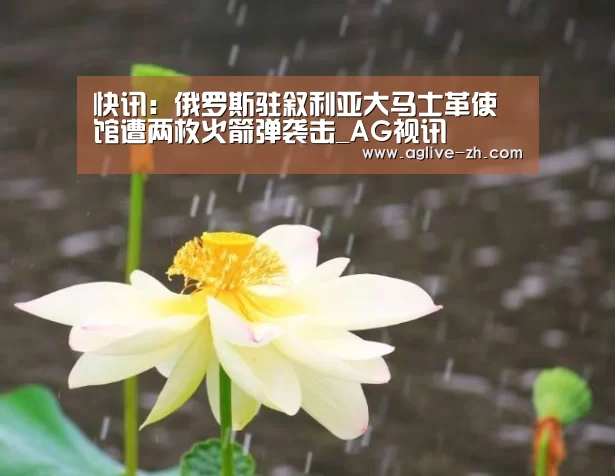 AG视讯
