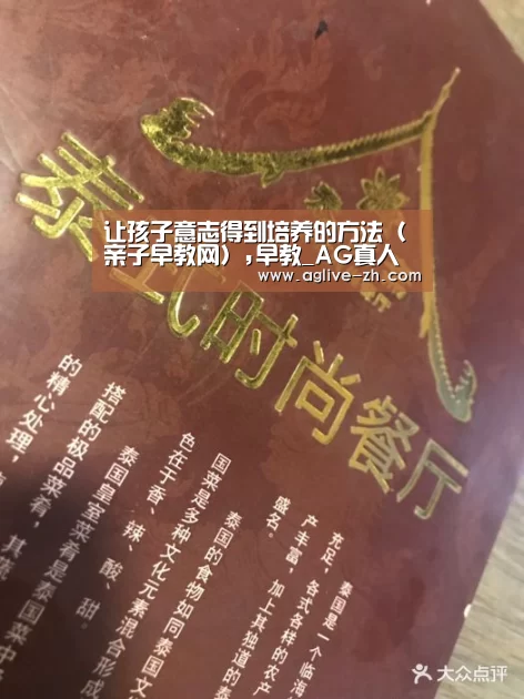 AG视讯
