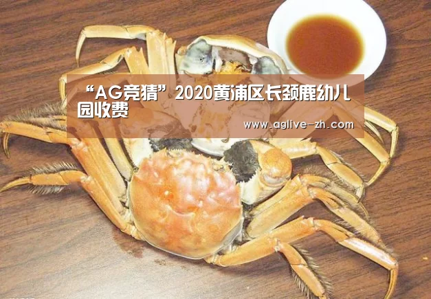 AG地址